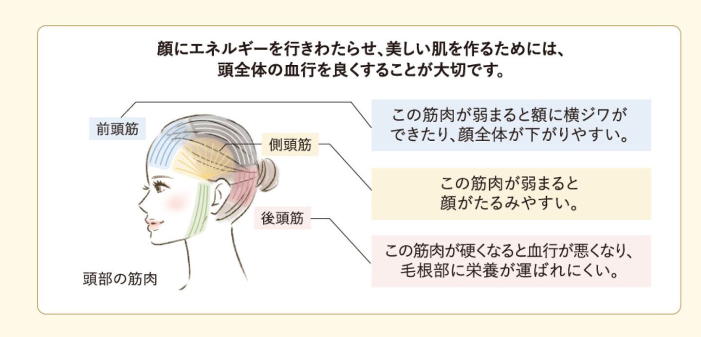 奈良 クリームバス
